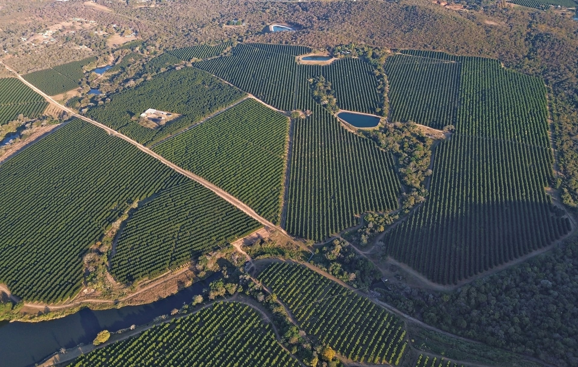 Sunstone Valley from the air: macadamia blocks in rows, the farm roads and dams between them, the river along the lower edge